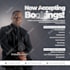 design any flyer, poster, or custom graphics you need