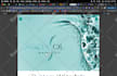 do webflow bugs fixing, fix webflow issues, layout issues