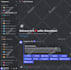 setup a professional discord server