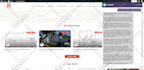 customize your wordpress theme into a polished, brand aligned website