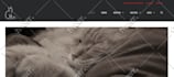 migrate your joomla site to wordpress