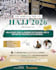 design modern and elegant umrah flyers