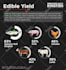 design a unique customized infographic