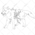 draw science fiction and fantasy stuff for you