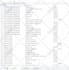 build llm powered data mining, web scraping and sales prospecting