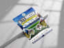 create a professional business flyer, event flyer, and postcard design