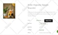 do shopify set up, customize, maintain your store