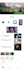 build a professional wordpress website