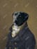 turn your pet photo into a custom royal renaissance portrait