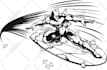 draw detail clean technical line art from any photo or picture