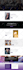 build modern and responsive wordpress website design or blog