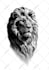 create your amazing realism custom tattoo designs, tattoo artist