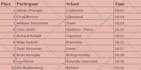 do accurate data entry, excel, google sheets, copy paste