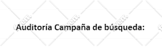 audit your google ads adwords campaign in spanish