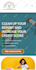 build wordpress website design development