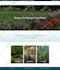 develop responsive wordpress website design or web design