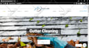 design a wordpress site for you
