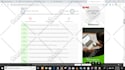 do SEO web content, blog post, and articles, within 24hrs