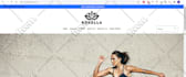 design shopify ecommerce store or shopfiy website