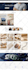 edit shopify, fix shopify website and shopify page optimization