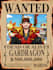 do wanted poster for you in 5 hour with free background