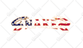 make professional business logo