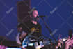 professionally edit your concert photos