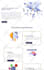 copy, clone, and redesign website in wordpress