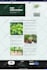 create a modern and mobile responsive wordpress website