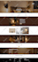 build shopify dropshipping store or shopify website