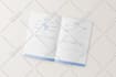 design workbook, PDF,  lead magnet, ebook in canva