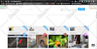 setup wordpress theme,demo import, customization, fix issues