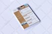 do professional, government,  capability statement design