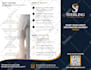 design your comprehensive brand identity and full brand guidelines