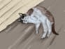 silly drawings for ur pets