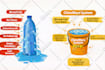 do vector tracing and vector art, convert logo to vector