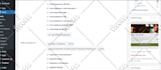 fast upload and publish content for article,blog post as wordpress VA