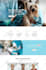 build squarespace website design squarespace website development squarespace