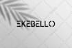 create minimalist business text and font logo