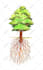 create beautiful hand drawn ink illustrations for you
