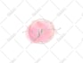 create a beautiful beauty salon logo