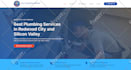 create responsive professional wordpress website design
