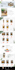be front end, backend, fullstack PHP laravel software web developer