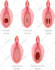 create medical anatomy surgical and scientific illustrations