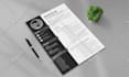 write, edit, update, format and design your professional resume or cv