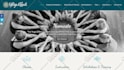 customize divi theme avada theme flatsome theme