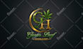 create amazing logo racing, automotive with 3d style