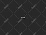 design complete brand identity with logo and visual guidelines