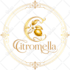 create a custom versatile professional logo design