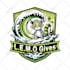 recreate, redraw logo convert any artwork or image in vector